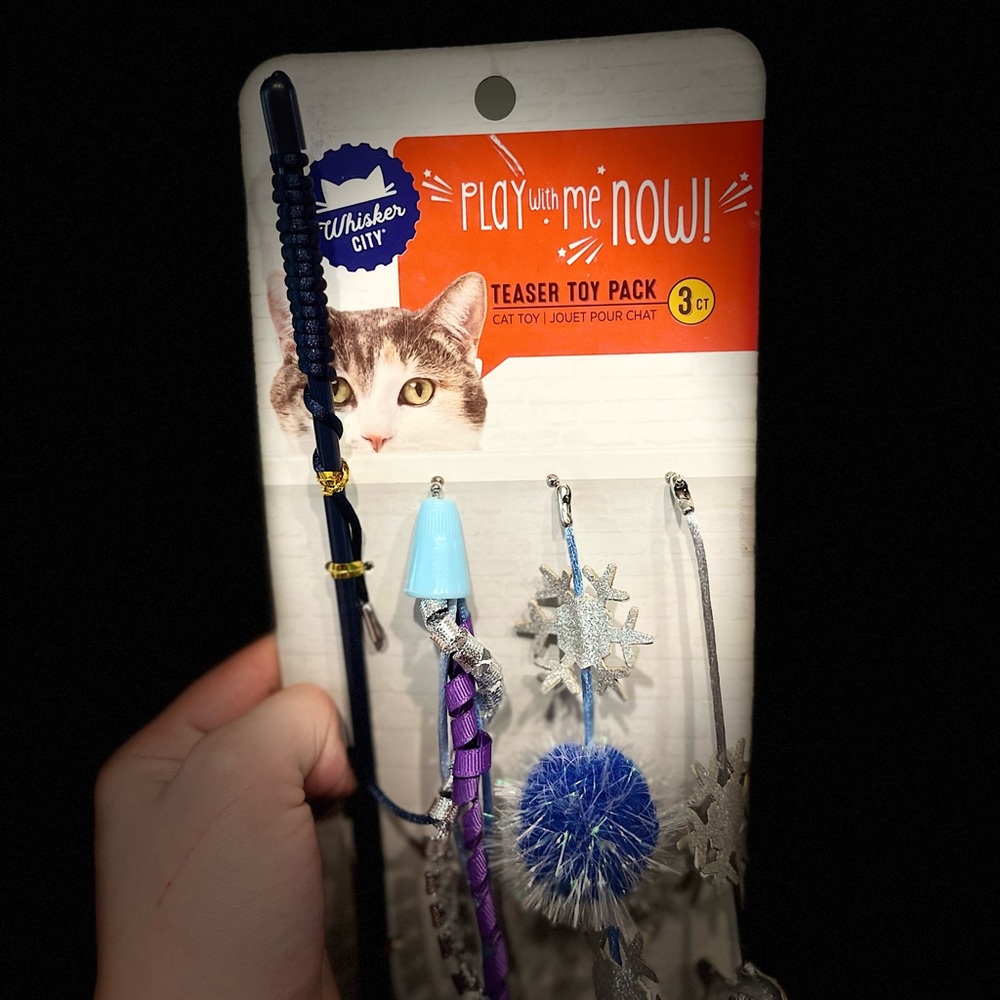 Whisker City Christmas Teaser Toy